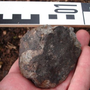 Meteorit Renchen3 am Fundort Waldgraben / c T. Kurtz